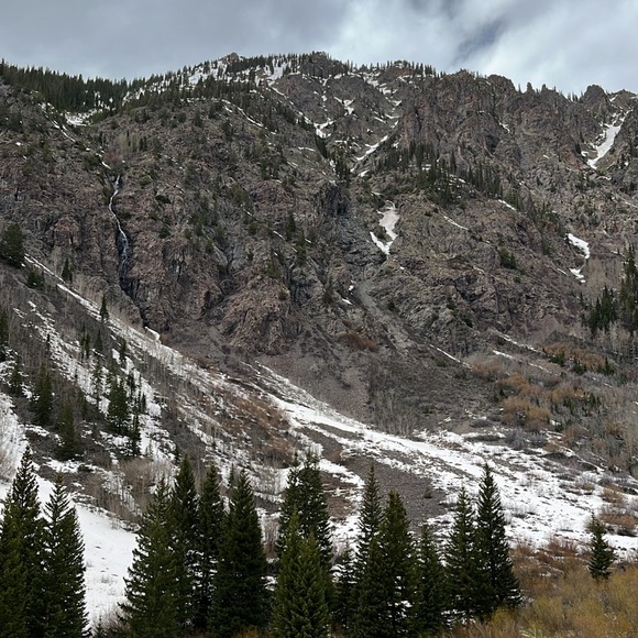 esh36491